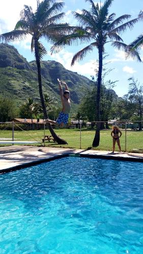 Teenage boy jumping off the diving board into the swimming pool with his hands high in the air as his camp counselor looks on with mountains and palm trees in the background at Aloha Beach Camp's Hawaii summer program at beautiful Camp Mokuleia on the North Shore of Oahu, Hawaii.