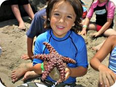 Keiki camper boy  holding a starfish and smiling on the beach at Aloha Beach Camp's Los Angeles summer camp program.